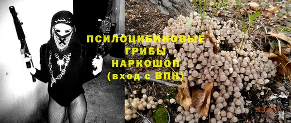 шишки Баксан