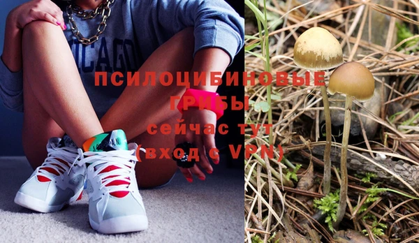 2c-b Балахна