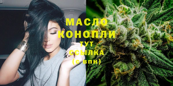шишки Баксан