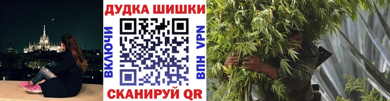 где можно купить   Пучеж  Каннабис Amnesia 